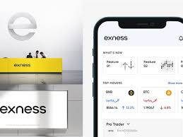 Exploring Exness Kuwait A Guide to Trading Success Exploring Exness Kuwait A Guide to Trading Success